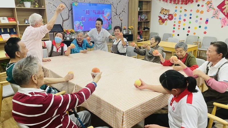 养老系统开发：功能解析与关键考量
